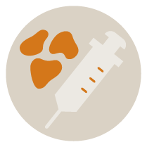 コンデンス脂肪注入のメニューアイコン