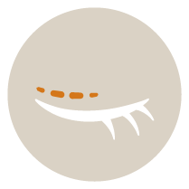 二重埋没(特殊)のメニューアイコン